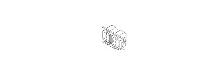 IEC 60320 Ganged Outlet